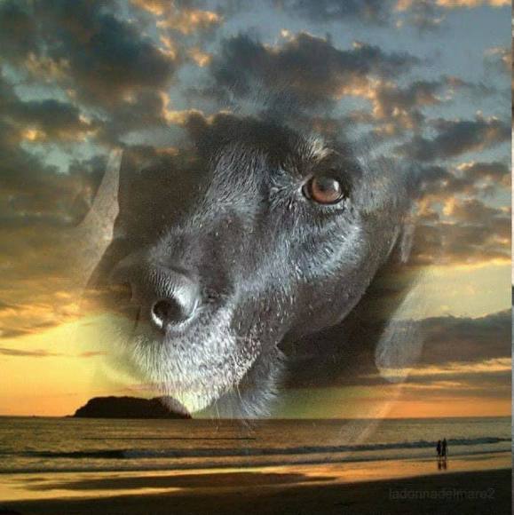 Meet your Posher, Angie - Picture 1 of 1